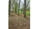 Large yard with mature trees, and well-manicured lawn at 4620 Oak Grove Cir, Cumming, GA 30028