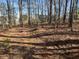 A wooded backyard with an abundance of trees and shade at 506 Carlton Dr, Palmetto, GA 30268
