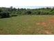 Large, grassy backyard with tree line in the distance at 237 Summergate Ln, Villa Rica, GA 30180