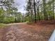 Gravel driveway leading to a wooded, secluded property with trees and foliage at 285 Glen Ne Rd, Conyers, GA 30013