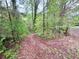 Private wooded driveway approach to the residence at 285 Glen Ne Rd, Conyers, GA 30013