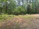 Vacant lot featuring mature trees with trailers and equipment on site at 285 Glen Ne Rd, Conyers, GA 30013