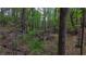 Beautiful wooded area on the lot with mature trees and a creek at 285 Glen Ne Rd, Conyers, GA 30013