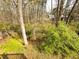 A wooded backyard is seen from the deck of this home, offering natural privacy at 6092 Leverett Dr, Lithonia, GA 30038