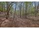 Natural wooded backyard with mature trees providing a peaceful and private setting at 8385 Sentinae Chase Dr, Roswell, GA 30076