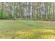 Large backyard with mature trees and a wooden fence surrounding the property at 6040 Carriage Dr, Cumming, GA 30028