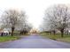 A beautiful street lined with blooming trees and manicured lawns at 6040 Carriage Dr, Cumming, GA 30028