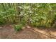 Scenic wooded backyard with vibrant green trees and a serene creek view at 12120 Dancliff Trce, Alpharetta, GA 30009