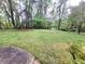 A lush green backyard with mature trees and landscaping at 1256 E Piedmont Rd, Marietta, GA 30062