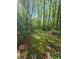 Lush backyard with mature trees and landscaped lawn at 1910 Cooper Landing Se Dr, Smyrna, GA 30080