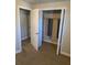 Walk in closet with hanging organizers at 204 Millpond Pkwy, Villa Rica, GA 30180