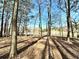 Backyard leads to a lake with trees lining the path at 123 Wildwood Dr, Temple, GA 30179