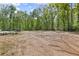 A vacant lot featuring mature trees in a quiet wooded setting at 175 Springvalley Way, Stockbridge, GA 30281