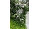 Charming address sign '315' adorned with climbing roses and lush greenery at 315 Peachtree Battle Nw Ave, Atlanta, GA 30305