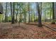 View of the backyard showing the border gardens and mature trees at 2763 Macby Walk, Marietta, GA 30066