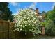 Landscaped garden with vibrant flowering bush, adding charm to the property at 4455 Sirrocco Sw Ln, Lilburn, GA 30047
