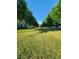 Scenic view of the community with lush greenery and tree-lined streets at 5449 Festival Ave, Fairburn, GA 30213