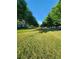 Scenic view of the community lawn, lined with trees and townhouses at 5449 Festival Ave, Fairburn, GA 30213