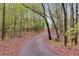 Long private driveway winding through a beautiful wooded area, providing seclusion and tranquility at 575 W Wayside Rd, Carrollton, GA 30116