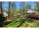 Lush backyard with mature trees, a well-manicured lawn, and serene views of surrounding properties at 125 Ketton Xing, Johns Creek, GA 30097