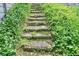 Stone steps through green foliage create a charming pathway in the landscape at 1514 Maplewood Ct, Woodstock, GA 30189