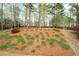 Expansive backyard with pine straw, featuring mature trees and lush landscaping, providing privacy and serenity at 111 Glen Trl, Woodstock, GA 30188