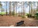Expansive backyard with mature trees, perfect for outdoor gatherings and recreational activities with Gathering at 111 Glen Trl, Woodstock, GA 30188