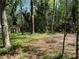 Backyard view of home with storage shed and wooded backdrop at 3013 Barcelona Way, Conyers, GA 30012