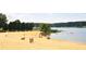 Sandy beach at Dallas Landing Park in Acworth with Gathering enjoying sunny weather and lake view at 1828 Kellogg Creek Rd, Acworth, GA 30102