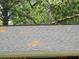 Close up of a shingled roof at 8317 Marlborough Dr, Jonesboro, GA 30238