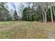 Expansive backyard with a mix of green grass, mature trees, and natural foliage providing privacy at 8100 Greens Mill Way, Loganville, GA 30052