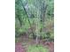 Image of backyard, with lush trees, and a view to a wood pile at 4487 Park Place Ter, Marietta, GA 30066