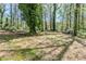 View of the home's backyard showing large trees and shade at 2240 Polar Rock Sw Ave, Atlanta, GA 30315