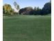 Picture of a beautifully maintained, lush green golf course on a sunny day at 15 Masters Dr, Villa Rica, GA 30180