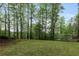 Spacious backyard with mature trees and potential for outdoor activities at 7650 Rico Rd, Chattahoochee Hills, GA 30268