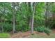 View from the deck of the backyard and mature trees at 1043 Middlebrooke Dr, Canton, GA 30115