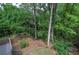 The property's backyard has a gentle slope, mature trees and native plants at 1043 Middlebrooke Dr, Canton, GA 30115