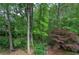 View of the backyard showing a variety of trees and native plants at 1043 Middlebrooke Dr, Canton, GA 30115