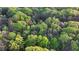 An aerial view of a verdant forest canopy displays the beauty of nature at 5884 Hammersmith Rd, Stone Mountain, GA 30087