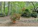 Backyard stone pathway with plants in pots surrounded by lush trees at 5884 Hammersmith Rd, Stone Mountain, GA 30087