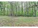 Backyard area surrounded by large trees at 5884 Hammersmith Rd, Stone Mountain, GA 30087