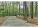An asphalt driveway winds through mature trees and lush greenery, leading to the property at 5884 Hammersmith Rd, Stone Mountain, GA 30087