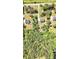 Aerial view of the property showcasing the home and its surrounding wooded area at 719 Fairview Rd, Brooks, GA 30205