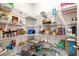 Spacious walk-in pantry with ample shelving for organized storage and easy access to groceries at 719 Fairview Rd, Brooks, GA 30205