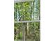 An interior view of a wooded homesite from a window at 1815 Wellston Dr, Lawrenceville, GA 30043