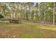 Vast backyard with lush greenery, a play set, and bordered with a fence at 209 Red Fern Ct, Canton, GA 30114