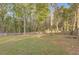 Serene backyard surrounded by mature trees, creating a private and natural setting at 209 Red Fern Ct, Canton, GA 30114