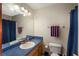Bathroom with a sink, mirror, toilet, and shower with curtain at 209 Red Fern Ct, Canton, GA 30114