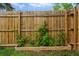 Backyard with a wooden fence and a planter with climbing plants, providing a touch of green privacy at 262 E Main St, Rutledge, GA 30663