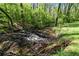Tranquil stream running through a wooded area at 1755 Pinetree Pass Sw Ln, Lilburn, GA 30047